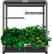 Alt View 16. AeroGarden - Farm 24XL with Salad Bar Seed Pod Kit - Hydroponic Indoor Garden - Black.