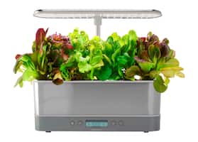 AeroGarden - Harvest Elite Slim – Indoor Garden – Easy Setup – 6 grow pods included - Stainless – Heirloom Salad kit - Front_Zoom