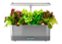 AeroGarden - Harvest Elite Slim with Heirloom Salad Greens Seed Pod Kit - Hydroponic Indoor Garden - Stainless – Heirloom Salad kit