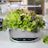 Alt View 12. AeroGarden - Bounty Elite – Easy Setup – Healthy eating garden kit – 9 Heirloom Salad Pods included - App Capability - Stainless.