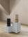 Alt View 16. Bang & Olufsen - Beosound Balance Wireless Multiroom Bookshelf Speaker - Natural Oak.