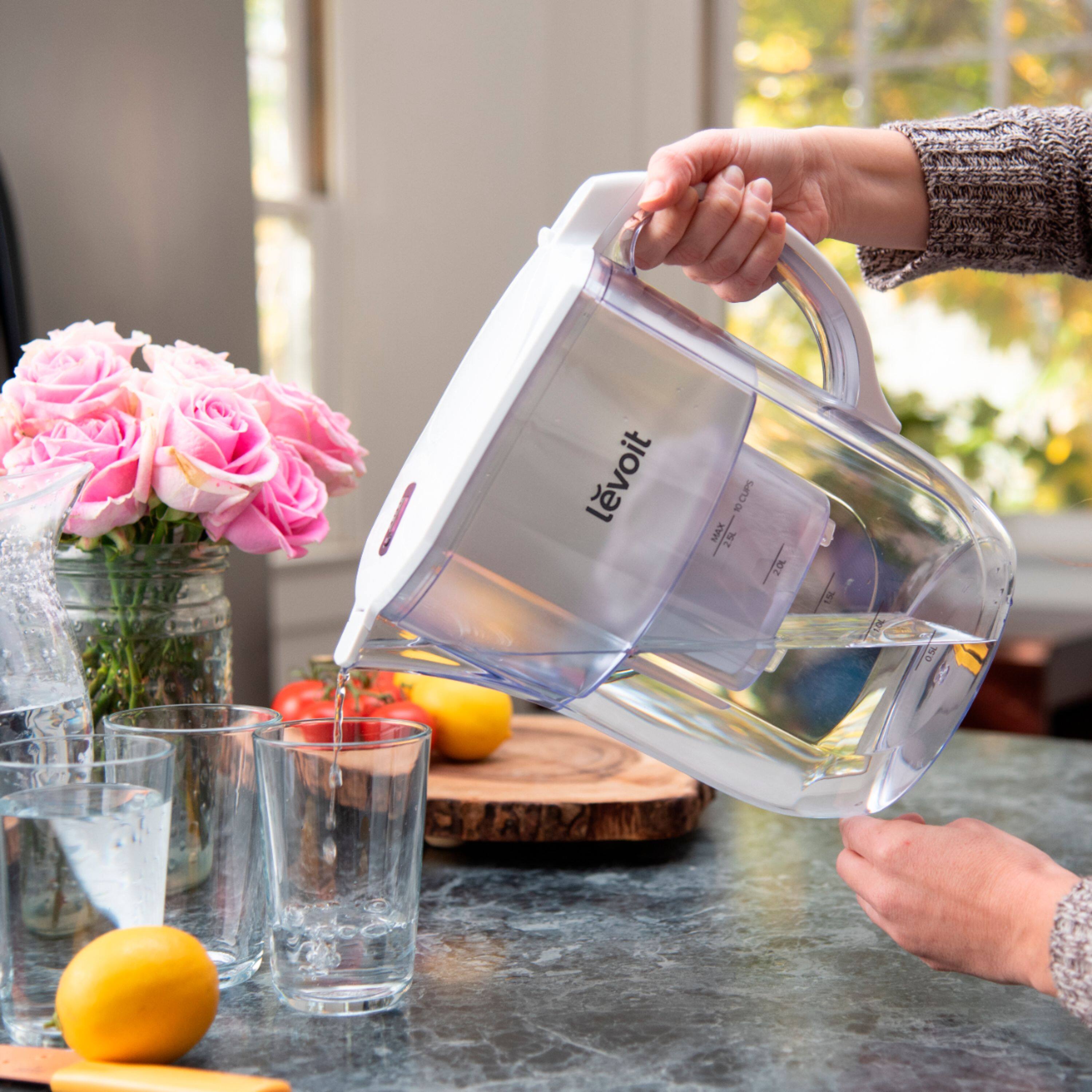Best Buy Levoit Water Filter Pitcher with Extra Filters White HEAPWPLVNUS0002