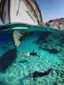 Alt View 15. GoPro - Floaty (HERO12 Black/HERO11 Black/HERO10 Black/HERO9 Black) - Orange.