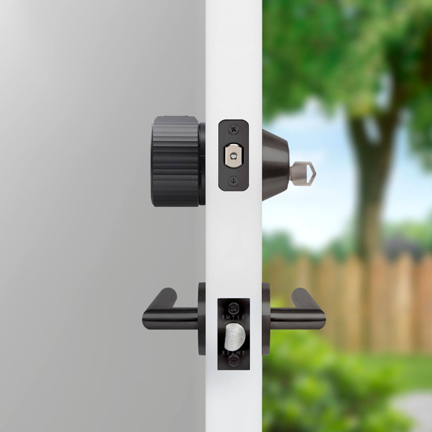 The image features a white door with a black handle and a lock. The door is closed, and there is a tree visible in the background. The handle is described as a "black handle," and the door is described as "white."