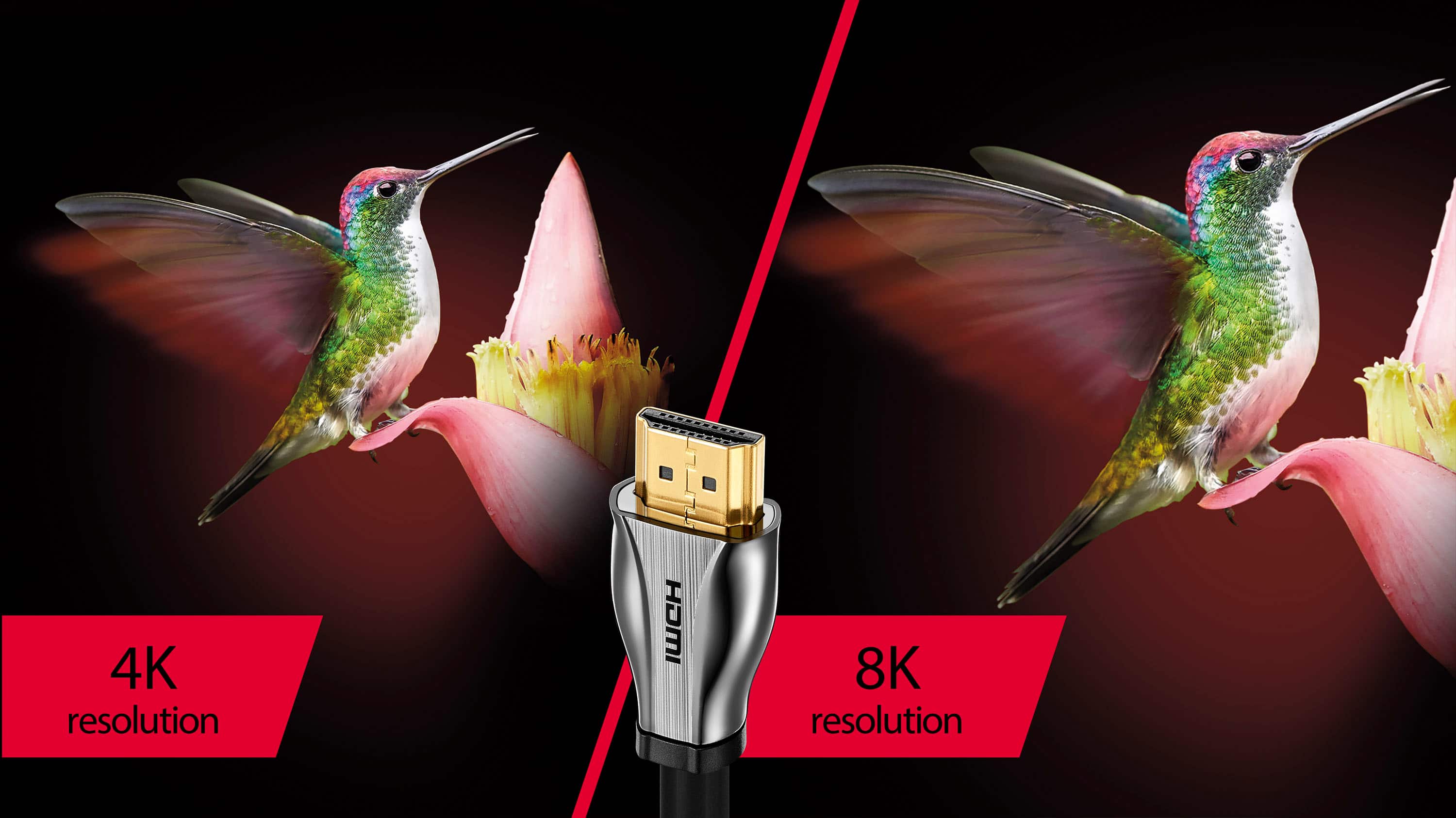 Alt View 15. Rocketfish™ - 2' 8K Ultra High Speed HDMI® 2.1 Certified Cable - Black.