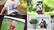 Alt View 21. Adobe - Photoshop Elements 2021 & Premiere Elements 2021.