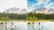 Alt View 26. Adobe - Photoshop Elements 2021 & Premiere Elements 2021.