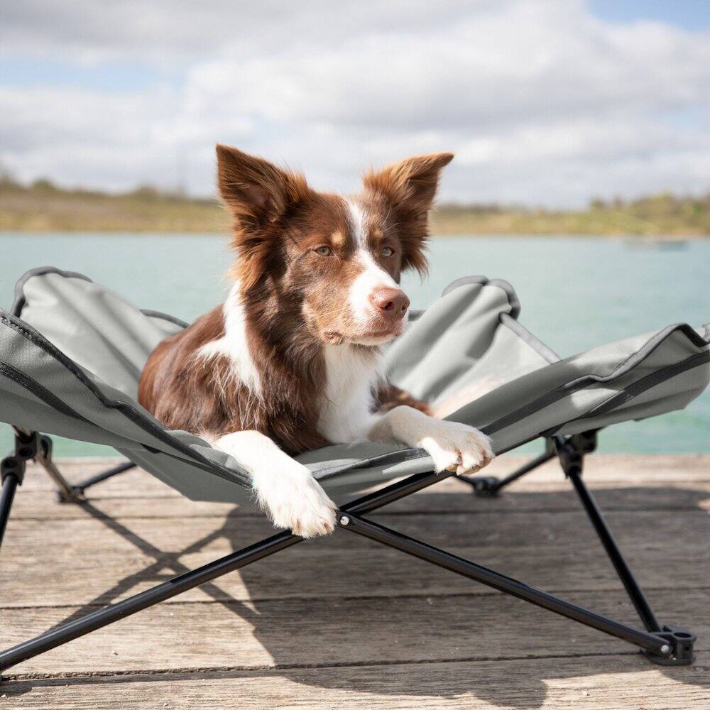 Angle. TRIXIE - Elevated Camping Cot, Folding Dog Bed, Raised Travel Lounger - Gray.