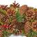 Alt View 13. Noble House - 18.5" Pine Cone and Glitter Unlit Artificial Christmas Wreath, Natural - Natural, Green.