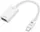 Best Buy essentials™ - Mini DisplayPort to HDMI Adapter - White