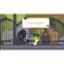 The largest text in the image reads "Thank you so much peanut!". The text is displayed in a speech bubble, and it is positioned above a fence.