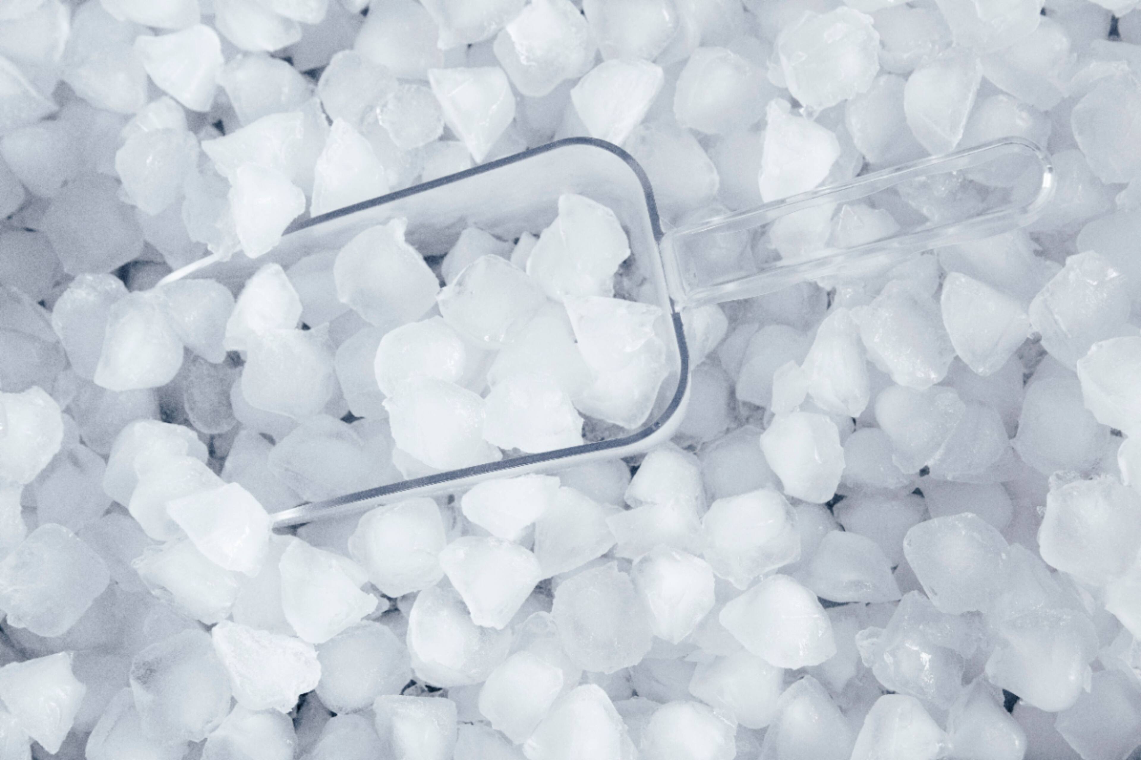 Alt View 14. Thermador - Freedom Collection 7.8 Cu. Ft. Frost-Free Smart Upright Freezer with External Ice and Water Dispenser - Custom Panel Ready.