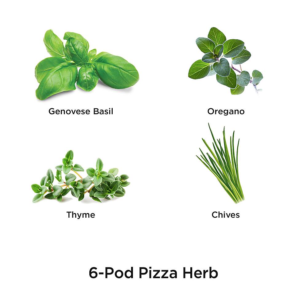 Best Buy AeroGarden Pizza Herb Seed Pod Kit 6 pod 8066070208