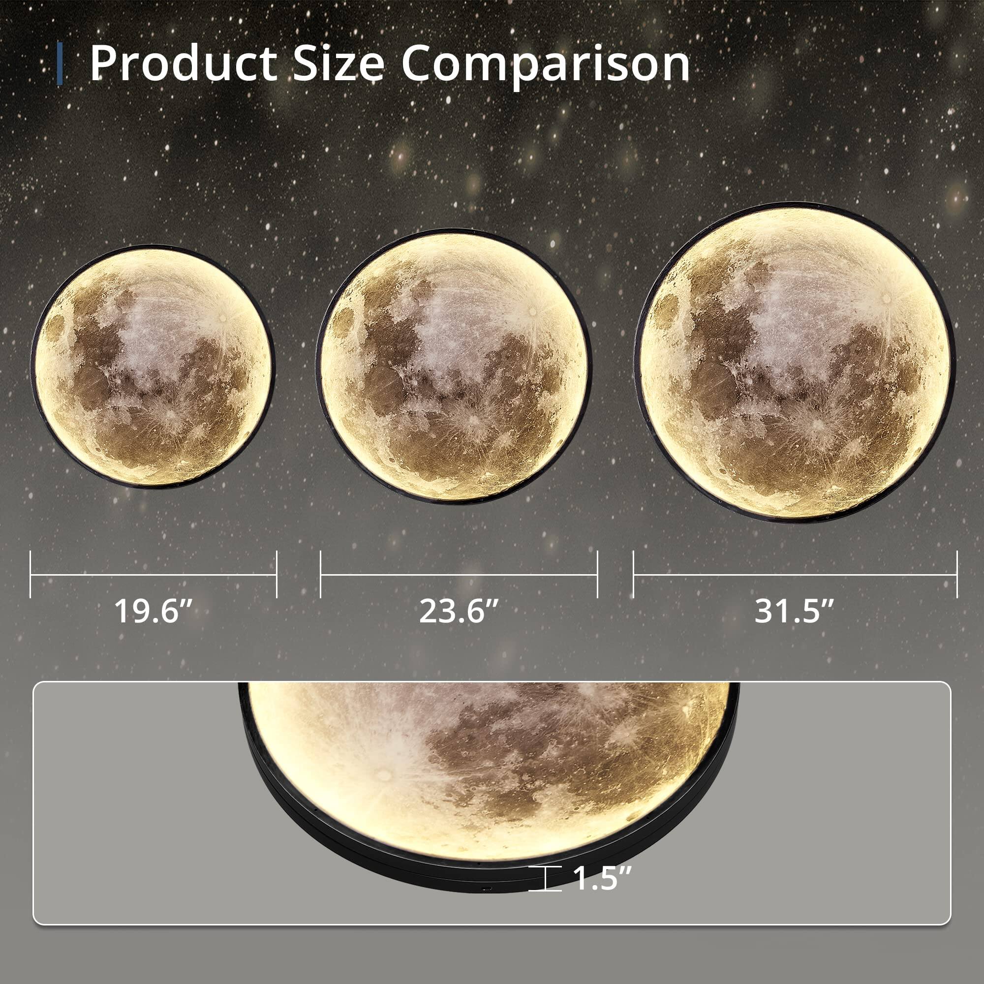 Product Size Comparison

19.6" 23.6" 31.5"

1.5"