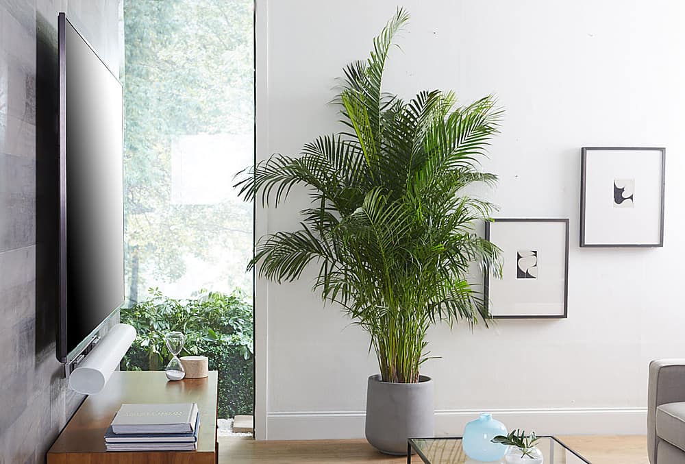 Alt View 3. Sanus - Sonos Arc Extendable Wall Mount - White.