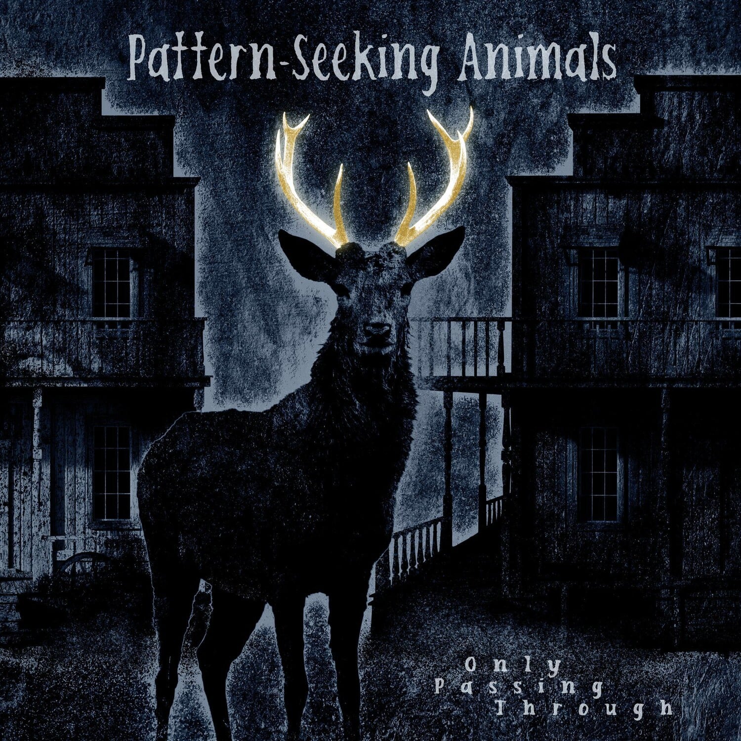 Pattern-Seeking Animals - Only Passing Through  - VINYL LP