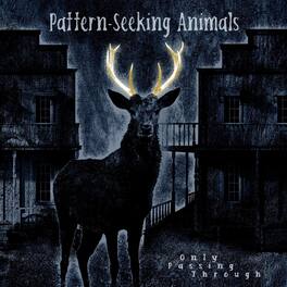 Pattern-Seeking Animals - Only Passing Through - VINYL LP