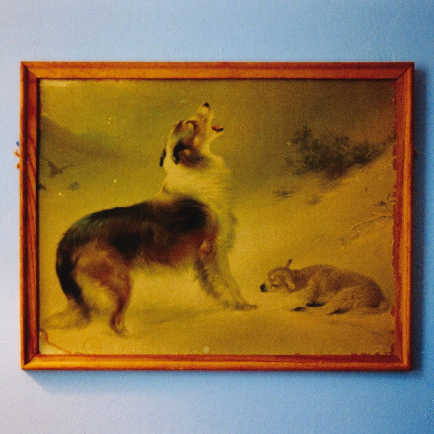 Explosions in the Sky - The Rescue   - VINYL LP price history on PriceWatchPro
