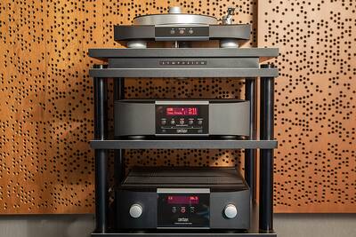 Mark Levinson No5302 550W 2 Ch. Class AB Dual Monural