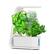 Alt View 11. AeroGarden - Sprout - Easy Setup - Healthy cooking garden kit – 3 Gourmet Herb Pods included - White.