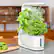 Alt View 12. AeroGarden - Sprout - Easy Setup - Healthy cooking garden kit – 3 Gourmet Herb Pods included - White.