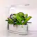 Alt View 16. AeroGarden - Sprout - Easy Setup - Healthy cooking garden kit – 3 Gourmet Herb Pods included - White.