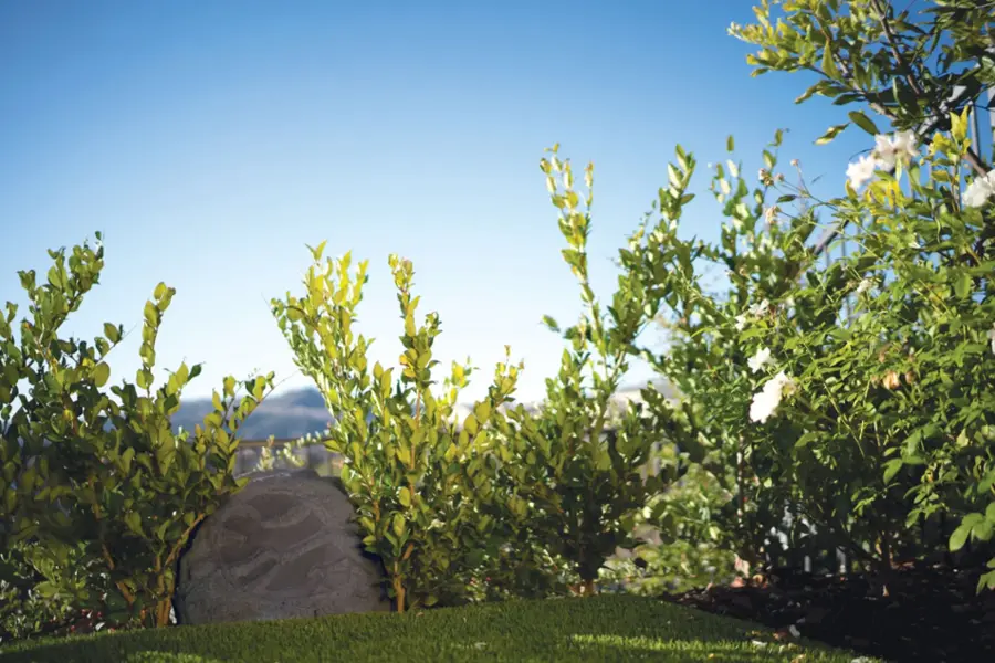 Alt View 23. Sonance - MAGROCKS2.1 - Mag Series 2.1-Ch. Outdoor Rock Speaker System (Each) - Charcoal Gray Granite.