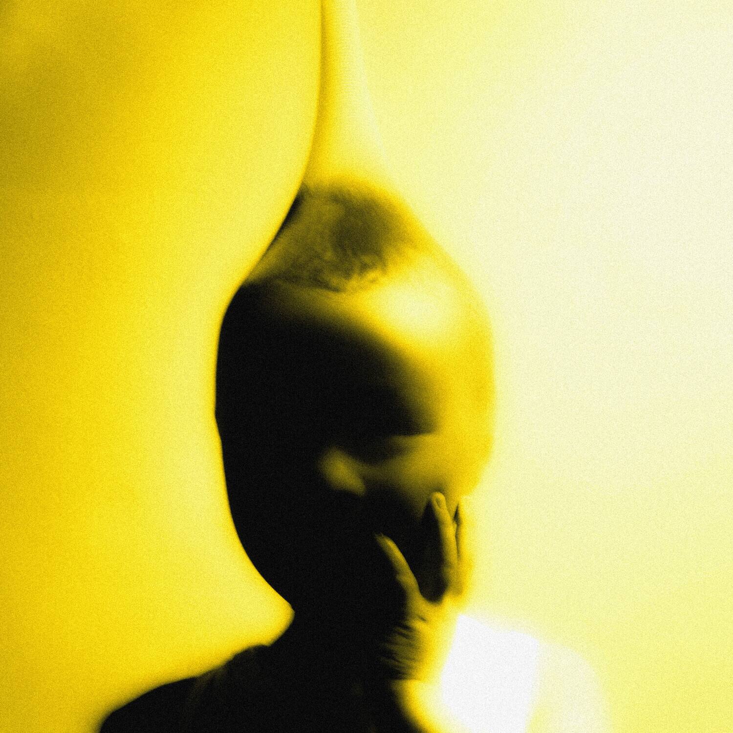 Front. Lemonsuckr - Life Is a Heist   - COMPACT DISCS.
