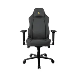Dark Grey with Gold Accents