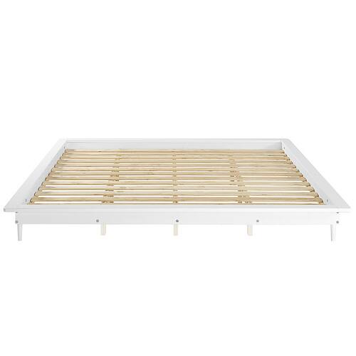 Rent To Own Adjustable Bed / Epedic Electric Adjustable High Low Semi