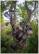 Alt View 20. Dark Energy - Poseidon Pro 10,200 mAh Portable Charger for Most USB Enabled Devices - Camo.