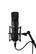 Alt View 13. Warm Audio - WA-87 R2 FET Condenser Microphone - Black.