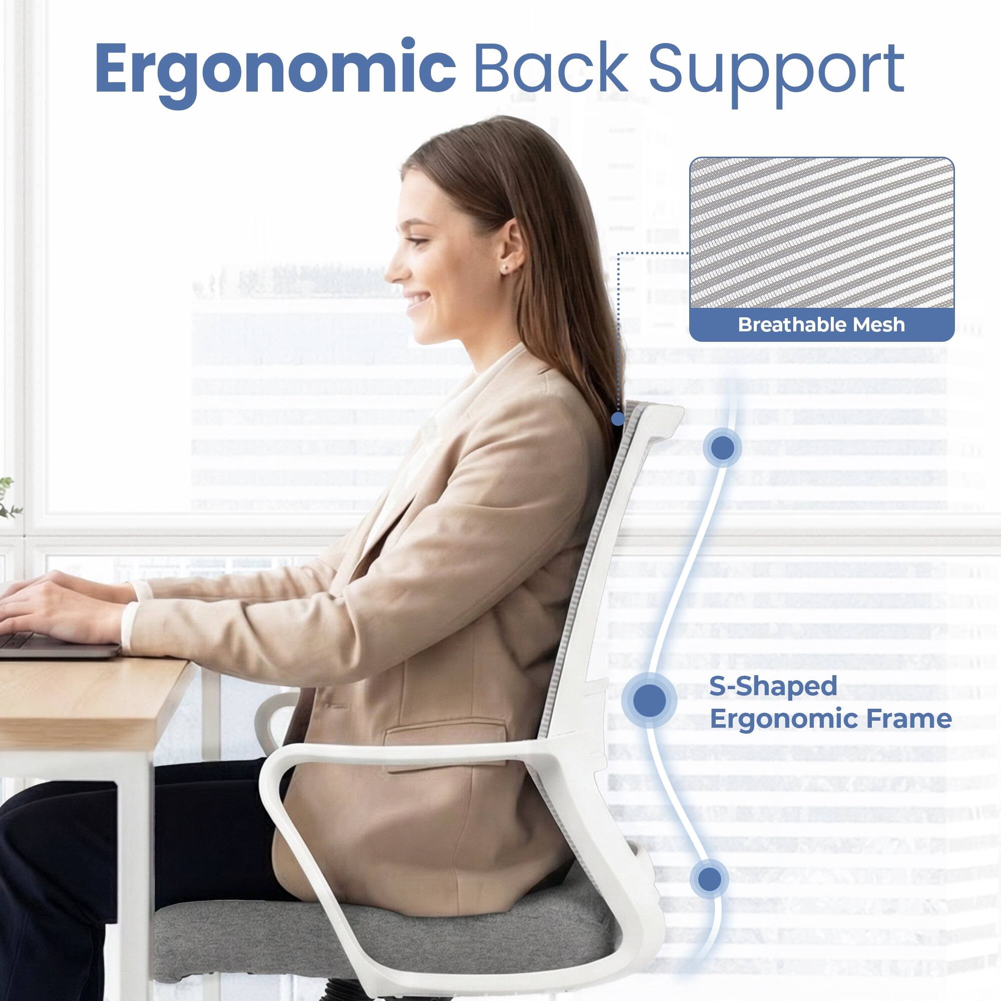 Ergonomic Back Support

- Breathable Mesh
- S-Shaped Ergonomic Frame