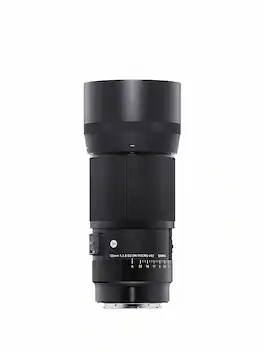 Sigma - AF 105mm f/2.8 DG DN Macro for Select L-Mount Cameras - Black