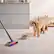 Alt View 12. Dyson - Omni Glide Cordless Vacuum with 3 accessories - Purple/Nickel.