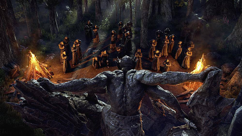 Alt View 15. Bethesda - The Elder Scrolls Online Collection: Blackwood.