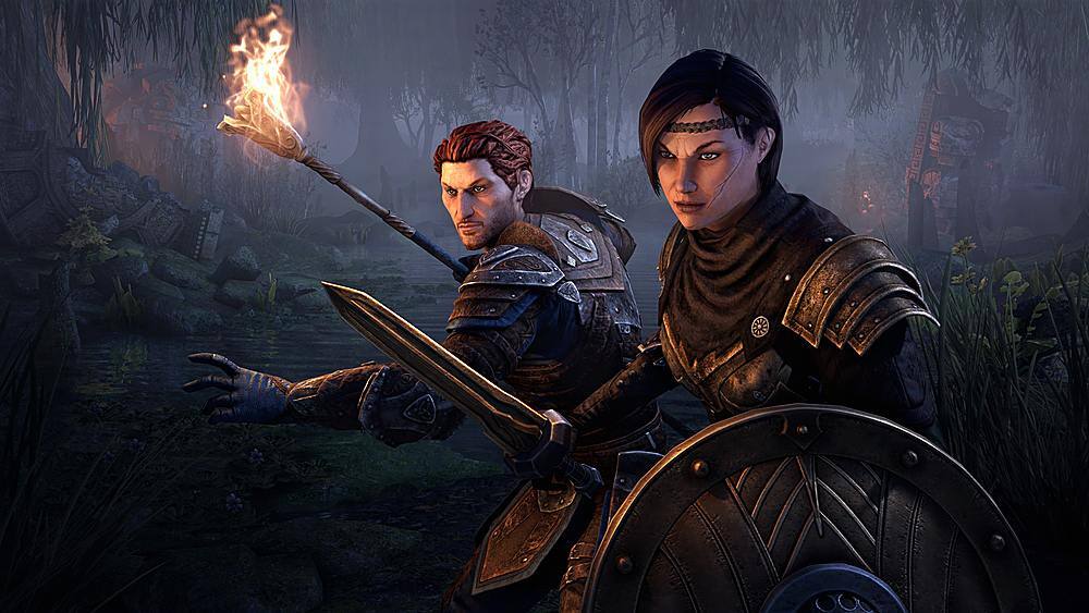 Alt View 16. Bethesda - The Elder Scrolls Online Collection: Blackwood.
