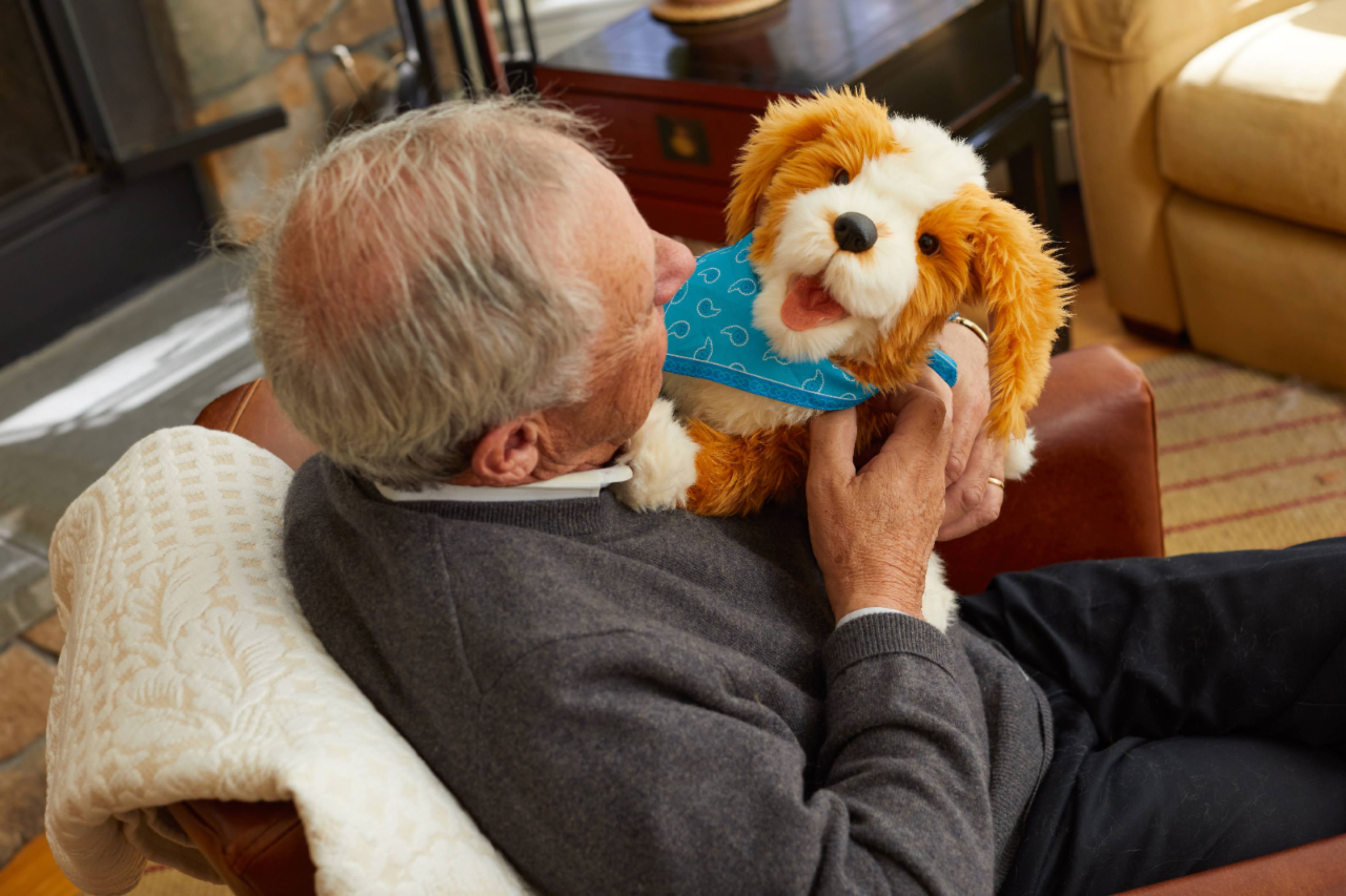 JOY FOR ALL™ Companion Pets Help Combat Loneliness