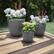Alt View 11. Nature Spring - Nature Spring 3PC Fiber Clay Planter Pots - Gray.