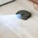 Angle Zoom. ECOVACS Robotics - DEEBOT N8+ Vacuum & Mop Robot with Advanced Laser Mapping and Auto-Empty Station - Black.