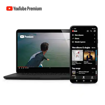 Premium Offline Pc How Do I Download Premium Videos To My Computer