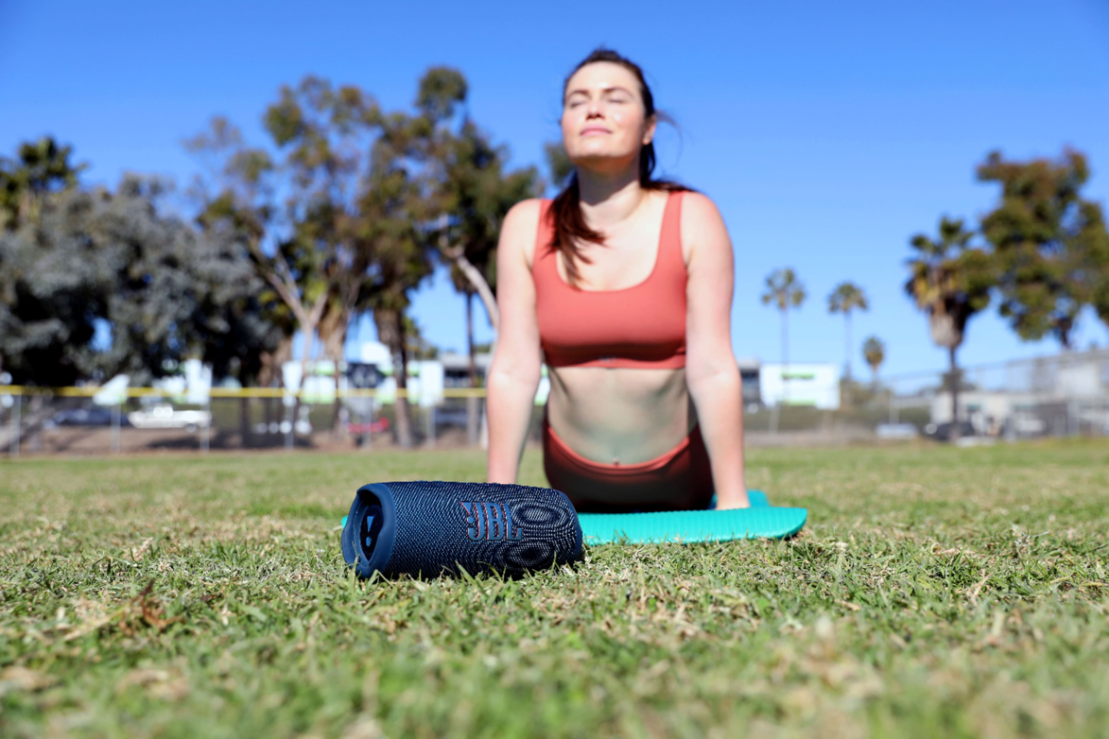 Alt View 14. JBL - CHARGE5 Portable Waterproof Speaker with Powerbank - Blue.