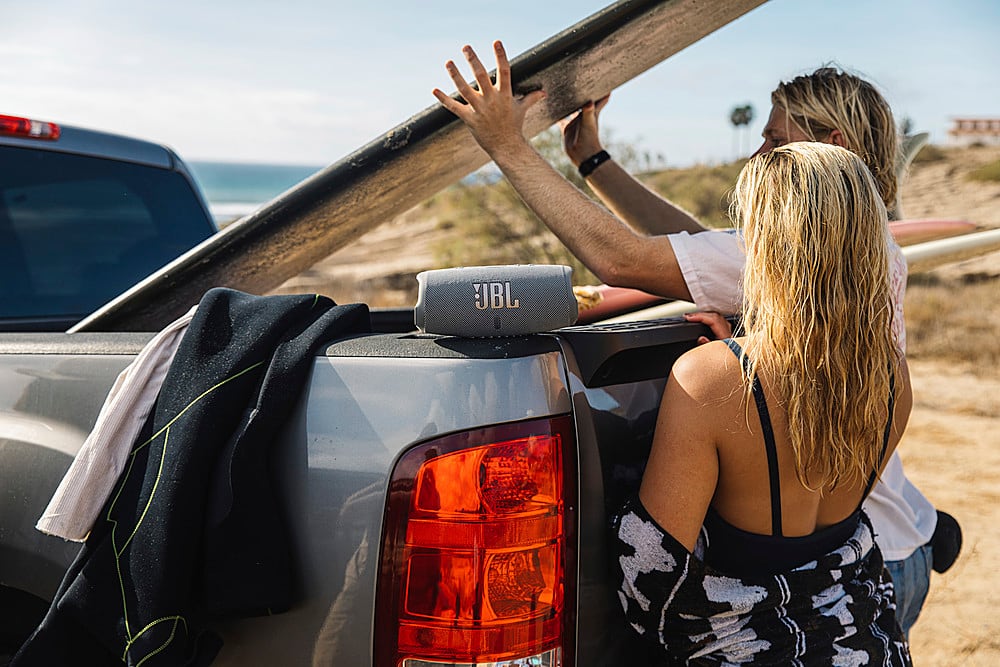 Alt View 14. JBL - CHARGE5 Portable Waterproof Speaker with Powerbank - Gray.