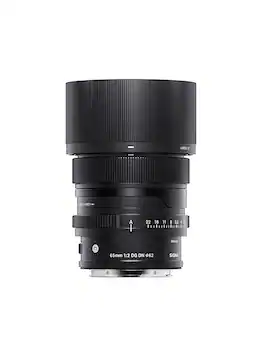 Sigma - AF 65mm f/2 DG DN for Sony E-Mount Cameras - Black