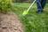 Alt View 15. Greenworks - TORQDRIVE 24-Volt 12" Cutting Diameter Straight Shaft Grass Trimmer (Battery Not Included) - Black/Green.