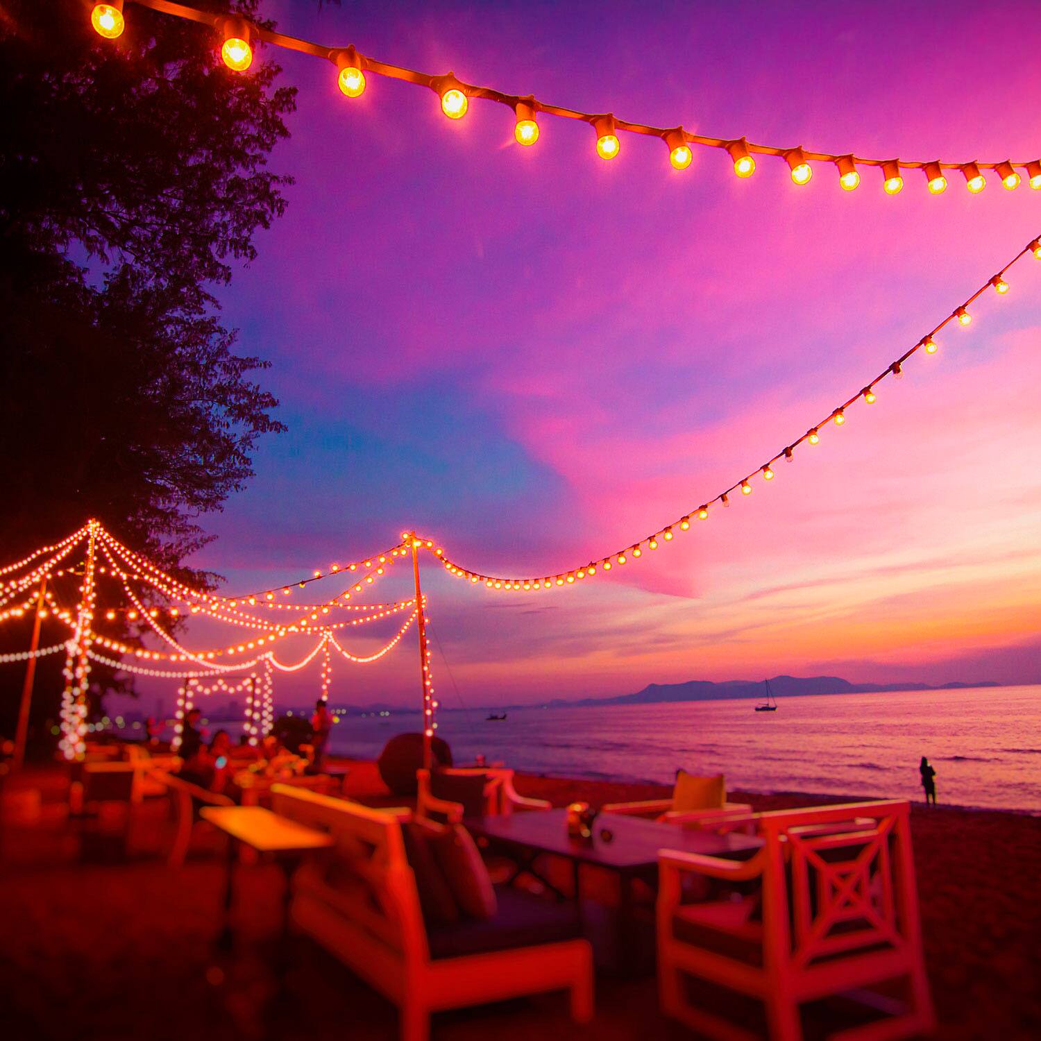 Alt View 1. Lutron - Caseta Weatherproof+ Outdoor Smart Plug for Landscape and String Lighting, On/Off Switch - Black.