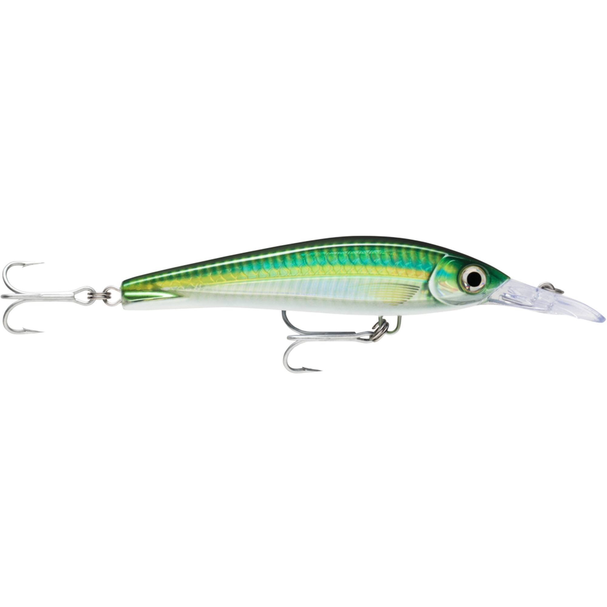 HD Bigeye Scad