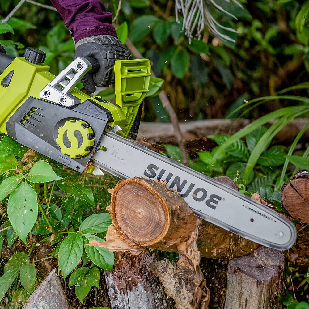 Sun Joe 24VX2CS16 48Volt iON+ Cordless Chain Saw Kit Green 24VX2