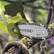 Alt View 18. Sun Joe - SWJ806E 2-in-1 Electric Convertible Pole Chain Saw - Green.