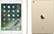 Alt View 12. Apple - Certified Refurbished iPad Mini (4th Generation) Wi-Fi (2015) - 64GB - Gold.